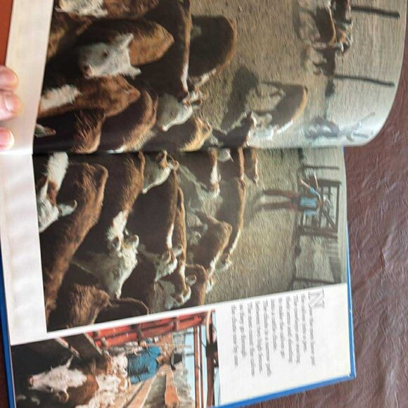 Vintage National geographic Books For Young Explorlers Set of 6 - Picture 9 of 16